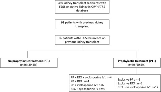 Flow chart of the study.