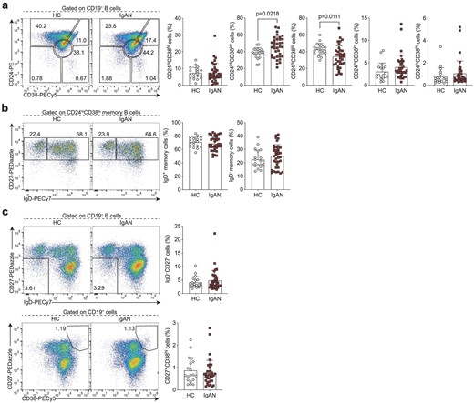 IgAN-associated changes in the peripheral B cell landscape. Representative flow cytometry plots and summary bar charts demonstrating (a) the frequencies of transitional (CD24hiCD38hi), mature (CD24intCD38int), memory (CD24hiCD38lo) and activated B cells (CD24loCD38lo), and pre-plasmablasts (CD24loCD38hi), (b) the distribution of memory B cells into IgD+ unswitched and IgD− class-switched subsets, (c) the frequencies of total double negative (DN; IgD−CD27−) B cells and plasmablasts (CD27+CD38hi) in IgAN patients and HCs. Data are mean ± standard deviation and each circle/square represents a study participant. For normally distributed CD24intCD38int, CD24hiCD38lo, IgD+ memory and IgD− memory B cell populations independent samples t-test was used to compare IgAN patients and HCs. For non-normally distributed CD24hiCD38hi, CD24loCD38lo, CD24loCD38hi, IgD−CD27− and CD27+CD38hi B cell subsets, Mann–Whitney U test was used for the comparison of IgAN patients and HCs.