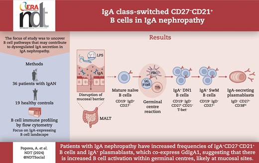Graphical Abstract