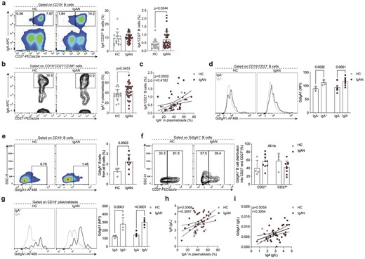 Enhanced differentiation of IgA+CD27− B cells and IgA+ plasmablasts in IgAN. Representative flow cytometry plots and summary bar charts demonstrating the frequencies of (a) IgA+CD27+ and IgA+CD27− B cells, and (b) IgA+ plasmablasts, (c) linear regression analysis of IgA+CD27− B cells versus IgA+ plasmablasts, and (d) representative flow cytometry histograms and summary bar charts demonstrating the median fluorescence intensity of GdIgA1 in IgA+ and IgA− CD19+CD27− B cells. (e, f) Representative flow cytometry plots and summary bar charts demonstrating the frequencies of (e) GdIgA1+ B cells and (f) the distribution of GdIgA1+ B cells into CD27− and CD27+ subsets. (g) Representative flow cytometry histograms and summary bar charts demonstrating the median fluorescence intensity of GdIgA1 in IgA+ and IgA− plasmablasts. (h, i) Linear regression analysis of (h) serum IgA levels versus IgA+ plasmablasts and (i) serum GdIgA1 versus serum IgA levels in IgAN patients and HCs. Data are mean ± standard deviation and each circle/square represents a study participant. For non-normally distributed subsets Mann–Whitney U test was used for the comparison of IgAN patients and HCs. Spearman's rank correlation tests were used to interrogate statistical significance in the correlation between IgA+CD27− B cells and IgA+ plasmablasts, serum IgA levels and IgA+ plasmablasts, and serum GdIgA1 and serum IgA levels in IgAN patients and HCs.