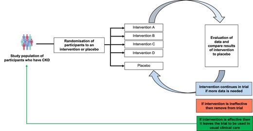 Simplified schematic of a platform trial.