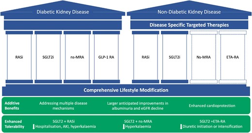 Combination therapy and the pillars of care for diabetic and non-diabetic kidney disease. RASi: renin–angiotensin system blockade; ETA-RA: endothelin type A receptor antagonist; AKI: acute kidney injury.