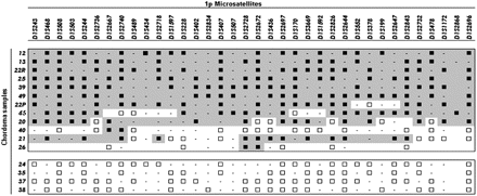 Loss of heterozygosity (LOH) analysis of 16 chordoma samples (listed in rows) from 15 patients using 33 microsatellite markers mapped to 1p36.33-1p36.12 (listed in columns from the most telomeric to the most centromeric). Black squares indicate LOH; white squares, retention of heterozygosity; dashes, uninformative markers. Gray shades indicate LOH regions.