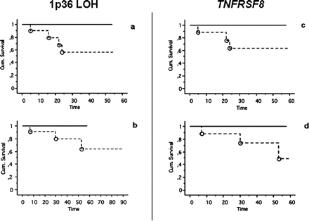 Kaplan-Meier progression-free (a, c) and overall survival (b, d) according to presence (continuous line) or absence (dashed line) of 1p36 loss of heterozygosity (LOH) (a, b) at one or more investigated markers, and according to expression (continuous line) or nonexpression (dashed line) of TNFRSF8 (c, d) in patients with skull base chordomas. Survival times are expressed in months at the most recent census. Events (circles) were observed only in the group of patients displaying 1p36 LOH and in the group of patients not expressing TNFRSF8.