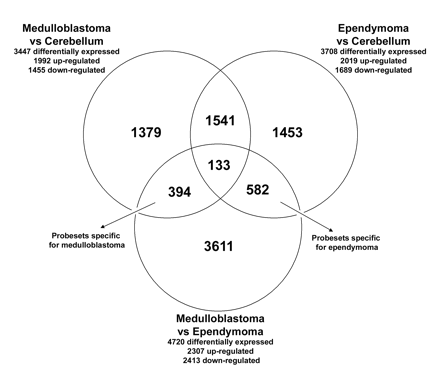 Venn diagram indicating the number of differentially expressed probe sets from the comparisons of medulloblastoma, ependymoma, and normal cerebellum. All probe sets that were differentially expressed with a false discovery rate <1% between medulloblastoma, ependymoma, and control cerebellum were used to create a Venn diagram: 394 probe sets were most discriminative for medulloblastoma, being differentially expressed both between medulloblastoma and cerebellum and between medulloblastoma and ependymoma; 582 probe sets were found to be most discriminative for ependymoma, being significantly different between ependymoma and cerebellum and between ependymoma and medulloblastoma; 1,541 were differentially expressed in both medulloblastoma and ependymoma when compared with cerebellum, but they were not found to discriminate between medulloblastoma and ependymoma; 133 probe sets were differentially expressed among all subgroups.