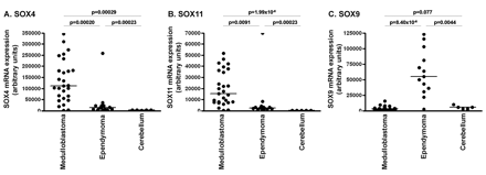 Differential expression of SOX4, SOX11, and SOX9 in medulloblastoma, ependymoma, and control cerebellum: variance stabilization procedure normalized mRNA expression levels of SOX4 (A), SOX11 (B), and SOX9 (C) in medulloblastoma, ependymoma, and cerebellum obtained by Affymetrix Human Genome U133 plus 2.0 microarray analysis. SOX4 and SOX11 were significantly overexpressed in medulloblastoma, whereas SOX9 was significantly overexpressed in ependymoma.