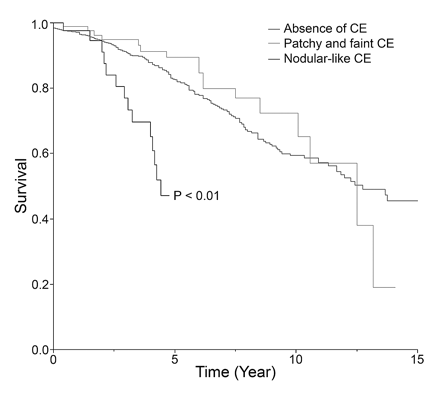 Kaplan-Meier estimates of survival since first oncological treatment by contrast enhancement (CE) pattern: absent, patchy and faint, or nodular-like.