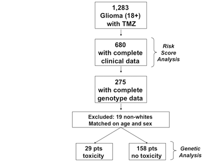 Inclusion of patients in the analysis. Of the 1,283 patients identified for chart review, 680 of them with complete clinical data were included in the risk score analysis. Of those, 275 with genotyping data were included in the preliminary polymorphism analysis. We excluded 19 nonwhite patients, as there were insufficient numbers to adequately look for differences based on ethnicity, and matched for age and sex. This left 29 patients with toxicity and 158 patients without toxicity for the genetic analysis.