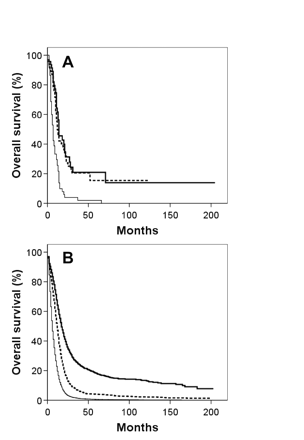 Kaplan-Meier overall survival curves for giant cell glioblastoma (A) and glioblastoma multiforme (B) patients segregated by age: thick solid line, <40 years; dashed line, 40–59 years; thin solid line, ≥60 years.