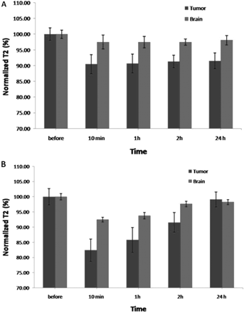 Normalized T2 relaxation times of tumor and brain measured before and 10 min, 1 h, 2 h, and 24 h postinjection of (A) the targeted and (B) nontargeted NPs.