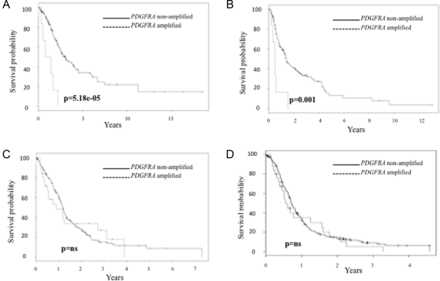Prognostic value of PDGFRA abnormalities in gliomas (continuous line indicates PDGFRA- non amplified tumors and broken line indicates PDGFRA amplified tumors). (Panel A). OS in PDGFRA amplified vs nonamplified WHO III gliomas. (Panel B). PFS in PDGFRA amplified vs nonamplified tumors in WHO grade III gliomas. (Panel C). OS in PDGFRA amplified vs nonamplified WHO IV gliomas. Panel d. PFS in PDGFRA amplified vs nonamplified tumors in WHO grade IV gliomas.