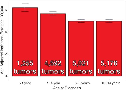 Average Annual Age-Adjusted Incidence Rates of Primary Brain and CNS Tumors by Age Group (N = 16,044) (CBTRUS 2007–2011)