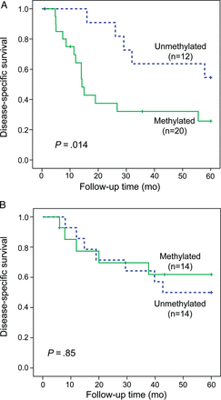 Disease-specific survival based on RASSF1A promoter methylation status for (A) patients with NF1-associated MPNSTs and (B) patients with sporadic disease.