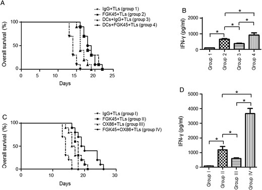 Effects of the combined immunotherapy of FGK45, DCs, and OX86 in the GIC model mouse. (A) Survival analysis of NSCL61-model mice treated with an s.c. injection of irradiated NSCL61 cells as TLs and IgG (group 1), TLs and FGK45 (group 2), TLs, DCs, and IgG (group 3), and TLs, DCs, and FGK45 (group 4). FGK45 therapy (group 2), DC therapy (group 3), and combination therapy (group 4) significantly prolonged survival compared with group 1 (P < .0001, P = .0001, P < .0001). The synergistic effects of the combination therapy (group 4) were detected compared with DC therapy alone (group 3; P = .0083), while not detected compared with FGK45 therapy alone (group 2; P = .8559). (B) Production of the IFN-γ protein by mouse CD4-positive T cells after the second s.c. vaccination as determined by ELISA. Comparisons among groups 1, 2, 3, and 4. Bars indicate the mean ± SD. (C) Survival analysis of NSCL61-model mice treated with an s.c. injection of irradiated NSCL61 cells as TLs and IgG (group I), TLs and FGK45 (group II), TLs and OX86 (group III), and TLs, OX86, and FGK45 (group IV). FGK45 therapy (group II), OX86 therapy (group III), and combination therapy (group IV) significantly prolonged survival compared with group I (P = .0001, P = .0013, P < .0001). Synergistic effects of the combination therapy (group IV) were detected compared with FGK45 therapy alone (group II; P = .0382) and OX86 therapy alone (group III; P = .0313). (D) Production of the IFN-γ protein by mouse CD4-positive T cells after the second s.c.vaccination as determined by ELISA. Comparisons among groups I, II, III, and IV. Bars indicate the mean ± SD.