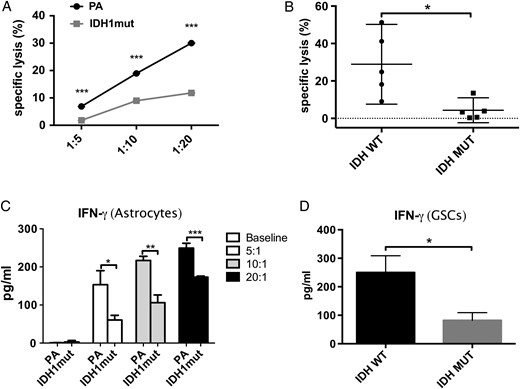 IDH1mut gliomas cells are resistant to NK-mediated cytotoxicity. NK cell–mediated cytotoxicity measured by 7-AAD-based flow cytometry in astrocytes and GSCs. IFN-γ secretion (ELISA) was measured using supernatant from experiments. (A) NK-mediated specific lysis of IDHmut and parental astrocytes at E:T ratios of 1:5; 1:10, and 1:20. Statistical differences in specific lysis of astrocytes (IDHmut = gray line, squares; PA = black line, circles) were measured using paired Student t-tests. (B) Specific lysis of patient-derived IDHmut (black circles) or wt (black squares) GSCs by NK-92 cells. (C, D) IFN-γ expression measured by ELISA in supernatants from experiments in Fig. 3A and B, respectively. (*P < .05, **P < .01, ***P < .001).