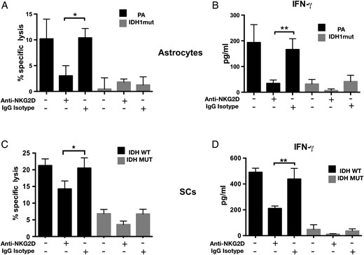 Natural killer cell–mediated cytotoxicity in IDHwt astrocytes and GSCs is NKG2D dependent. (A) Donor-derived NK-mediated cytolysis of IDHmut or wt astrocytes with or without NKG2D blocking antibodies. Specific lysis was determined by 7-AAD flow cytometry. (B) IFN-γ levels (ELISA) using cell-free supernatants from (A). (C) NK-92 mediated cytolysis of 2 IDHmut and 2 wt patient-derived glioma cell lines in the presence or absence of NKG2D blocking antibodies. (D) IFN-γ levels using supernatants from (C). Data shown are representative of 3 independent experiments. Error bars represent SD between each sample. (*P < .05; **P < .01, ***P < .001).