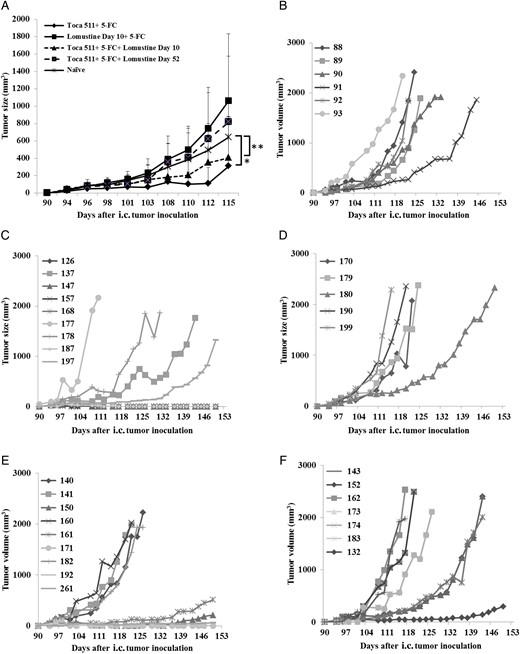 Tumor challenge assays in cured mice from Tu-2449 tumor long-term survival. Cured mice from Tu-2449 intracranial tumor long-term survival were subcutaneously challenged with Tu-2449SC cells 90 days after initial tumor establishment. As a control, Tu-2449SC cells were implanted into naïve B6C3F1 mice. (A) Tumor growth was significantly reduced in mice cured of brain tumor with Toca 511 + 5-FC and Toca 511 + 5-FC + lomustine day 10 treatment compared with naïve controls (*P = .009, **P = .02, respectively). Tumor measurements, performed 3 times a week, to monitor growth of subcutaneous tumors after challenge in naïve controls (B) vs cured animals from (C) Toca 511 + 5-FC, (D) lomustine day 10 + 5-FC, (E) Toca 511 + 5-FC + lomustine day 10, and (F) Toca 511 + 5-FC + lomustine day 52 groups.