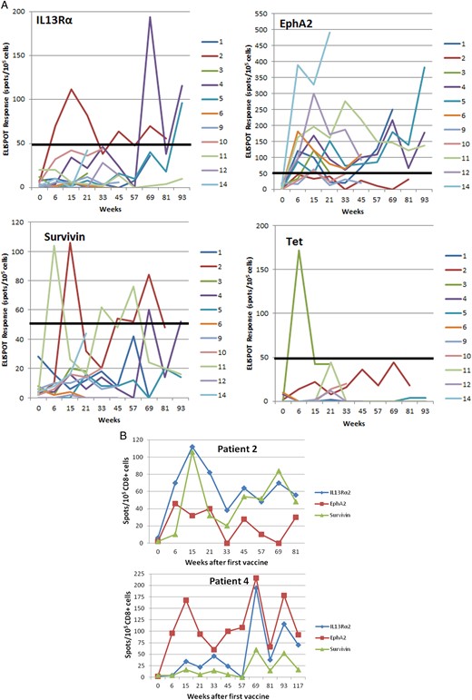 (A) Time course of GAA epitope-specific T-cell responses evaluated by IFN-γ ELISPOT analyses in patients who had samples available at week 0 (pre-vaccine) and at weeks 6, 15, and 21. Points represent net values after background subtraction. A positive ELISPOT response was defined as >2-fold increase in net spot-forming T cells (after background subtraction) (CD8+ cells for GAAs, CD4+ cells for TetA830-845) over the pre-vaccine level and at least 50 spots/100 000 cells (indicated by a thick solid line). (B) ELISPOT responses in 2 patients. Upper: Patient 2, who had stable disease for >20 mo on vaccine therapy, demonstrated persistent ELISPOT responses to both IL-13Rα2 and survivin. Lower: Patient 4, whose MRI scans are depicted in Figure 1, demonstrated a significant partial response of the primary tumor and complete regression of all metastatic disease. Persistent positive ELISPOT responses to both IL-13Rα2 and EphA2 were observed throughout the course of vaccination and persisted after completion of the 2-year vaccine regimen.