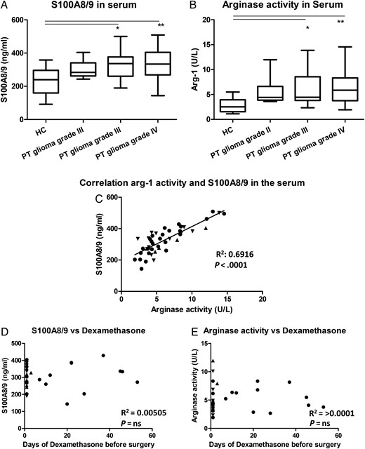 Increase of S100A8/9 levels and arginase activity in serum of patients with glioma. (A and B) S100A8/9 levels (A) and arginase activity (B) in serum was plotted in a whisker plot for healthy controls (HCs; (n = 12)) and glioma patients (9 grade II; 14 grade III; 23 grade IV). Asterisks represent statistical significance (** P < .01; *** P < .001). (C) Arginase activity was plotted against S100A8/9 serum levels. Patients with a grade II, III or IV glioma represented by straight triangle, inverted triangle or dots respectively and the line represents the correlation. (D and E) The S100A8/9 concentration (D) and the arginase activity (E) were plotted against the time of preoperative dexamethasone treatment. Relevant statistics of all glioma samples combined are incorporated into C, D, and E.