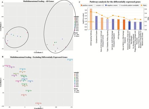 Transcriptome (array data) landscape. (A). MDS for all measured genes. Each sample is denoted by a different color, tumors are marked as triangles and PDCLs as circles. (B) MDS for all genes excluding 2643 differentially expressed genes between the tumor and PDCL groups. (C) Ingenuity pathway analysis for the 2643 differentially expressed genes. Only biological pathways that are both significant and for which the activation/inhibition direction could be inferred are shown. Orange denotes pathway activation in PDCL compared with parental tumors and blue denoted pathway inhibition.
