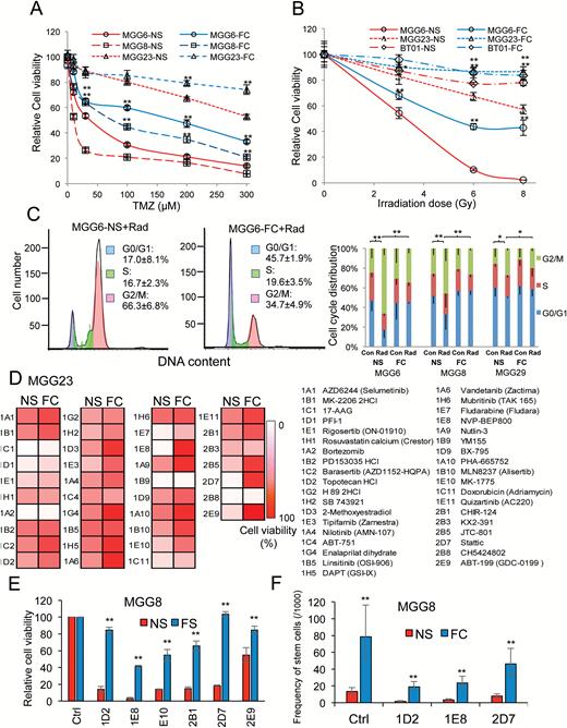 Floating cells display therapeutic resistance. (A–B) NS and FC from 3 different GSC cultures were treated with increasing doses of temozolomide for 3 days (A) or radiation for 5 days (B) and analyzed for cell viability (*P < .01, **P < .01 FC vs NS). (C) Effect of 6 Gy ionizing radiation on cell cycle. Left histograms, showing a representative DNA content with propidium iodide staining in MGG6 NS and FC. Right column figure, cell cycle distribution in NS and FC from MGG6, MGG8, and MGG23 GSCs (**P < .05; G2/M percentage control vs radiation or NS vs FC). (D) MGG23 NS and FC were screened using the “Target Selective Inhibitor Library.” Cell viability at 72 h posttreatment is shown as gradations of red to white; white, no cell alive; red, same proportion of live cells as in vehicle control (0.1% dimethyl sulfoxide). (E) Six selected hits from the screen were validated on MGG8 NS and FC and cell viability was assessed 72 h posttreatment; ** P < .01 FC vs NS. (F) Influence of selected drug hits on stem cell frequency (with 95% CIs) in NS and FC after one week treatment from MGG8 GSCs was evaluated using the extreme limiting dilution analysis (ELDA); ** P < .01 FC vs NS by chi-square test.