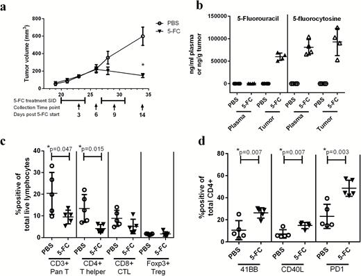 Toca 511 and 5-FC treatment concentrates 5-FU at the site of the tumor and reduces tumor burden; however, changes in immune cell subsets in the tumor 3 days after treatment initiation are minimal. (A) Tumor burden expressed as tumor volume (mm3) over time (days post tumor implant). 5-FC treatment cycles are shown below the graph and collection dates are indicated by black arrows and labeled as days post 5-FC start (n = 5). (B) 5-FC and 5-FU were assessed in plasma and tumor 1 hour after the last administration of 5-FC (n = 4). (C) Pan T cells (CD3+), CD4+, CD8+, or Tregs were analyzed as a percentage of total live lymphocytes in the tumor 3 days post 5-FC treatment initiation (n = 5). (D) 41BB, CD40L, and PD1 expressions on CD4+ T cells were analyzed 3 days after 5-FC treatment initiation. These data were repeated with similar results in at least one additional experiment. *Statistical significance was defined as P < .05.