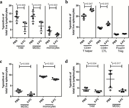 Toca 511 and 5-FC treatment reduces immunosuppressive myeloid cells in the tumor 6 and 9 days after 5-FC treatment initiation. (A) TAMs, MDSCs, and monocytes were analyzed in the tumor 6 days after the initiation of 5-FC and expressed as a percentage of total live lymphocytes in the tumor. (B) CD4+, CD8+, or Tregs were analyzed as a percentage of total live splenocytes 6 days post 5-FC treatment initiation. (C) MDSCs and monocytes were analyzed in the spleen 6 days after the initiation of 5-FC and expressed as a percentage of total live splenocytes. (D) TAMs and MDSCs were analyzed in the tumor 9 days after the initiation of 5-FC and expressed as a percentage of total live lymphocytes in the tumor. These data, n = 5, were repeated with similar results in at least one additional experiment.