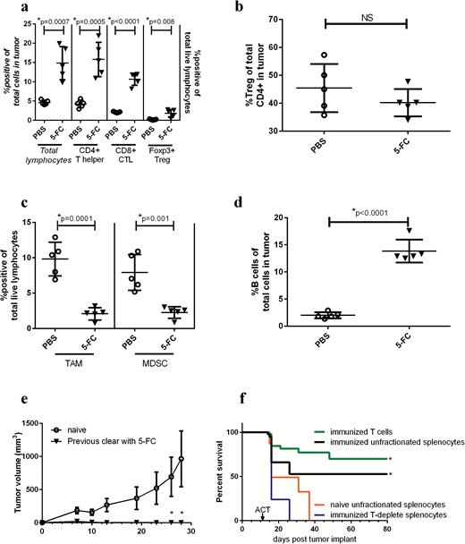 Toca 511 and 5-FC treatment continues to reduce immunosuppressive myeloid cells while increasing T cells in the tumor 14 days after treatment initiation. (A) Total lymphocytes were analyzed as a percentage of total cells in the tumor (data correspond to italicized axis on the left), CD4+, CD8+, or Tregs were analyzed as a percentage of total live lymphocytes in the tumor (data correspond to non-italicized axis on the treatment initiation). (B) Tregs were analyzed as a percentage of total CD4+ T cells in the tumor (right) 14 days post 5-FC treatment initiation. (C) TAMs and MDSCs were analyzed in the tumor 14 days after the initiation of 5-FC and expressed as a percentage of total live lymphocytes in the tumor. (D) Fourteen days after 5-FC treatment initiation, B cells were analyzed as a percentage of total live lymphocytes in the tumor. (E) Mice which had cleared tumors through treatment with Toca 511 and 5-FC and were tumor free for 9 weeks were rechallenged with Tu-2449 subcutaneous tumors and tumor burden was assessed over time (n = 5). Age-matched naïve controls were also challenged (n = 10). (F) Animals which had previously cleared Tu-2449 intracranial tumors through treatment with Toca 511 and 5-FC (termed “immunized”) were used for ACT into recipient mice bearing intracranial Tu-2449 tumors. Before transfer, immunized splenocytes were fractionated. Animals received either unfractionated splenocytes from immunized (black) or naïve mice (orange) or purified T cells from immunized spleens (green) or immunized splenocytes depleted of T cells (blue). These data were repeated with similar results in at least one additional experiment. *Statistical significance was defined as P < .05.