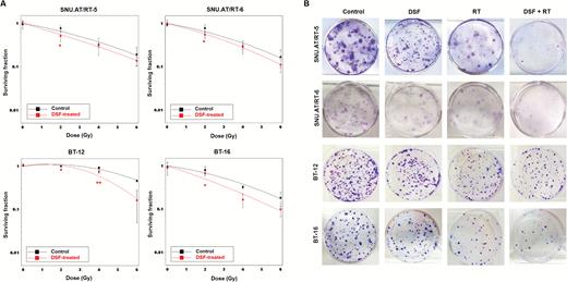 In vitro radiosensitizing effects of DSF on AT/RT cells. (A) The surviving fractions of AT/RT cells at various doses of irradiation ± IC10 DSF were compared. (B) The clonogenic assay was performed to determine the treatment effects of IC10 of DSF and/or irradiation (50 nM + 2 Gy for SNU.AT/RT-5 and SNU.AT/RT-6; 24 nM + 4 Gy for BT-12; 2 nM + 2 Gy for BT-16). Surviving colonies after treatment were stained and illustrated. *P < .05, **P < .01.