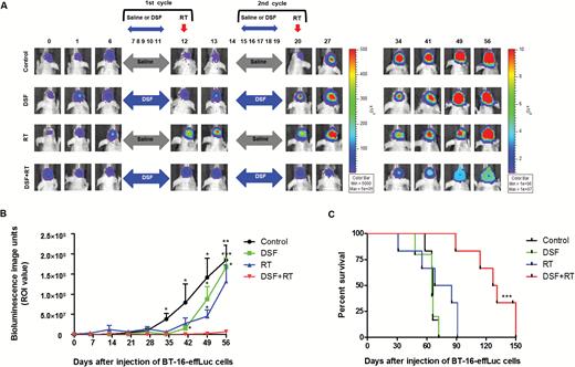 Long-term treatment effects of the DSF and RT combination therapy. (A) Bioluminescence images (BLI) were obtained at various time-points using an IVIS-100 imaging machine. (B) Tumor growth was quantified by BLI and compared. (C) The median survival time of the groups (days) was illustrated by Kaplan–Meier survival curves and compared using the log-rank test. DSF + RT combination therapy showed survival benefit compared with other groups. *P < .05, **P < .01, ***P < .001.