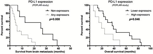 Kaplan–Meier analysis of the different PD-L1 expressor groups used in the POPLAR study. Among patients who underwent primary tumor resection and had multiple brain metastases (subgroup 2), “non-expressors” showed better survival after brain metastasis surgery compared with the “any-expressors”; and “lower-expressors” showed better OS compared with the “high-expressors.”