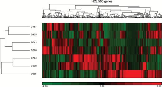 Hierarchical clustering (HCL) of gene expression from 500 genes of the 7 patient-derived xenografts analyzed.