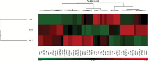 Hierarchical clustering of gene expression from 48 key angiogenesis genes of the 3 patient-derived xenografts. Relative expression of the genes RNH1, SCG2, VEGFA, AGGF1, and PROK2 among the 3 tumor types correlated with DSC MRI, vessel density, rat VEGFA expression, and OS.