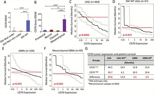 CD70 gene expression is inversely correlated with overall survival in patients with primary gliomas. (A–B) CD70 expression among different subgroups of LGGs and GBMs. (C–F) Predicted median overall survival decreases with increasing CD70 expression in primary LGGs, IDH wild-type LGGs, GBMs, and GBMs in the mesenchymal subgroup (CD70 RNA-seq expression was considered as a continuous predictor of survival, adjusted for gender and age in all subgroup models using Cox proportional hazards (PH) regression; further adjustment was made for tumor subtype in the GBM subgroup model). (G) Summary of differential median overall survival between CD70 high and low groups defined by mean values of CD70 RSEM in LGGs and GBMs (subgroup median survival estimates adjusted for age, gender and GBM tumor subtype via Cox PH regression).