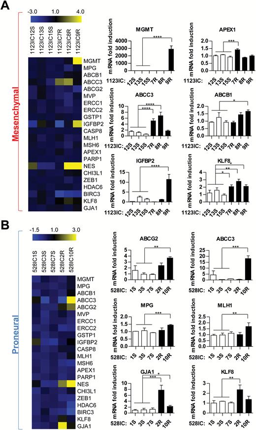Heterogeneous expression of genes associated with TMZ resistance among secondary GSCs isolated from individual mice following chemotherapy in vivo. Profiles of mRNA among clonally related SGSCs isolated from PN (528) or MES (1123) brain tumors: control (S), TMZ resistant (R) (as in Fig. 2). Markers for which differences were significant are shown as bar graphs (right panel), in MES (A) and PN (B) cell lines (1 = average mRNA expression in TMZ-sensitive cell lines). The heatmap (left panel) represents the global profile of all markers of resistance tested. ****P < 0.0001; ***P < 0.001; **P < 0.01; *P < 0.05 (N = 3).