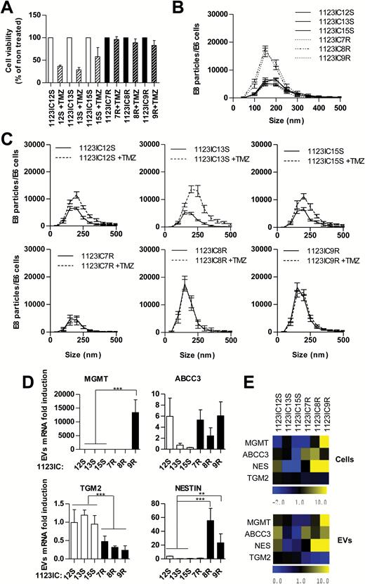 Reflection of molecular changes associated with TMZ resistance in GSC-derived EVs. (A) TMZ effects on cell viability (MTS assay). (B, C) Nanoparticle tracking analysis of EVs produced by SGSC lines in the absence (B) or presence of 100 μM TMZ (C). (D, E) Expression of transcripts implicated in TMZ resistance in GSCs and in their EVs. (D) Quantitative PCR analysis reveals changes in EV-associated TGM2, MGMT, and/or Nestin (1 = average mRNA expression in TMZ-sensitive cell lines). (E) The comparison of heatmaps between cell and EV profiles shows a great similarity. *P < 0.05 (N = 2).
