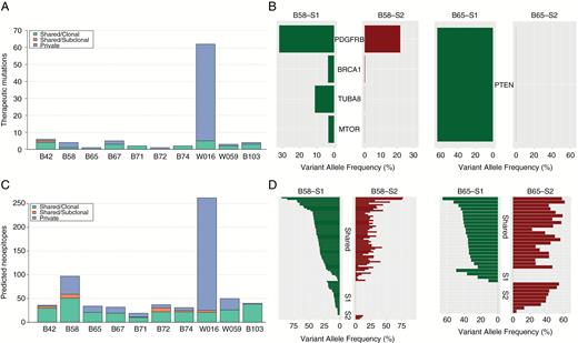 Regional heterogeneity in potentially therapeutic gene variants and in the predicted neoantigen landscape. (A) Chart showing the numbers of private, clonal-shared, and subclonal-shared mutations in potentially therapeutic genes for each patient. (B) Mutation versus VAF plots highlighting heterogeneity in potentially therapeutic gene variants for patient B58 (left) and B65 (right) for 2 distinct tumor sectors. (C) Chart depicting the numbers of private, clonal-shared, and subclonal-shared predicted neoantigens for each tumor. (D) Mutation versus VAF plot of predicted neoantigens for patient B58 (left) and B65 (right) for 2 tumor sectors. Mutations along the vertical axis are grouped into 3 classes: shared; sector 1 (S1) specific; and sector 2 (S2) specific.