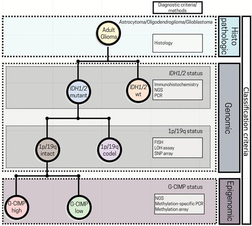 Perspectives in incorporating G-CIMP subsets into the current 2016 WHO glioma classification algorithm. A simplified diagram for glioma classification based on histological, genetic, and epigenetic features. The incorporation of G-CIMP subsets further refined glioma classification. NGS: next-generation sequencing; PCR: polymerase chain reaction; FISH: fluorescent in situ hybridization; LOH: loss of heterozygosity; SNP: single-nucleotide polymorphism; wt: wildtype (modified from the original copy-free design by Freepik).