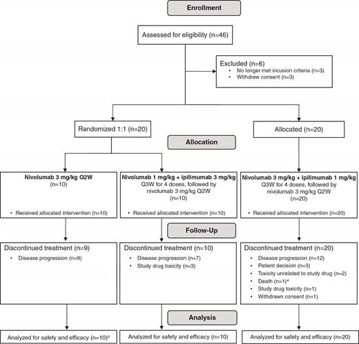 Trial profile. aPatient died due to a stroke 39 days after the last dose of study treatment. bOne patient did not have a measurable target lesion at baseline and therefore was not evaluable for response; this patient was evaluable for PFS and OS.