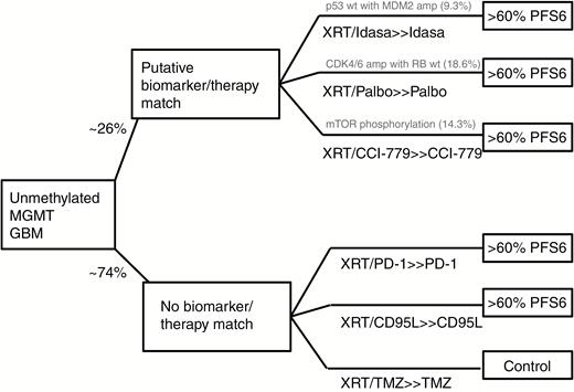 Schema for N2M2.
