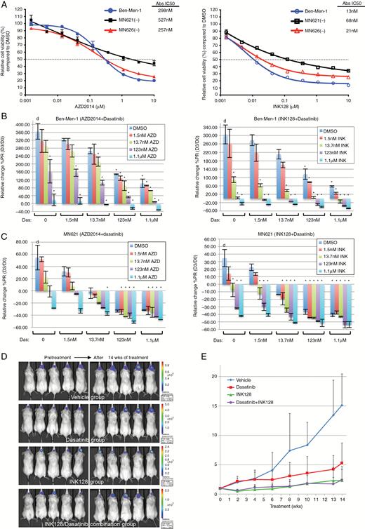INK128 is superior to AZD2014 showing in vivo efficacy alone and combined with dasatinib. (A) Dose response curves for AZD2014 (left) and INK128 (right) were determined for NF2-null Ben-Men-1 and primary MN lines (MN621 and MN626) treated for 72 h with 0–10 µM of indicated drugs (9 dilution points, 3-fold serial dilution). Absolute IC50 (Abs IC50) is shown. Results were plotted as % viability relative to DMSO controls and are presented as ± SEM (3 replicates/dose). (B, C) Treatment of MN lines Ben-Men-1 (B) and MN621 (C) using dasatinib, singly and combined with AZD2014 (left) or INK128 (right), show relative changes in percent proliferation rate (%PR) at D3 where data are normalized to D0 (%PR = 0). Each group represents DMSO (d) or single dasatinib doses (Das: 0–1.1 µM, bracketed at bottom) in combination with increasing doses of AZD2014 or INK128 (see plot key). Error bars, mean ± SD; *P < 0.05 (compared with DMSO). (D, E) Antitumor activities of INK128, dasatinib, and their combination were determined using an orthotopic, quantifiable meningioma model.21 Shown are representative bioluminescence images of groups of Ben-Men-1-LucB meningioma-bearing mice at pretreatment or after 14 weeks (wks) posttreatment with vehicle, dasatinib, INK128, or INK128/dasatinib (D). Tumor-emitted bioluminescence signals at each indicated timepoint following treatment were quantified and mean normalized bioluminescence signals from each treatment group were calculated and shown with standard deviations (E).