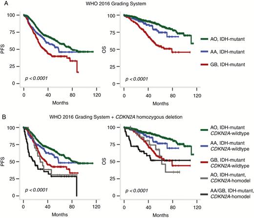 Kaplan–Meier survival curves of the 911 IDH-mutant gliomas. (A) Stratification on the WHO 2016 classification. (B) Stratification on both WHO 2016 classification and CDKN2A status.