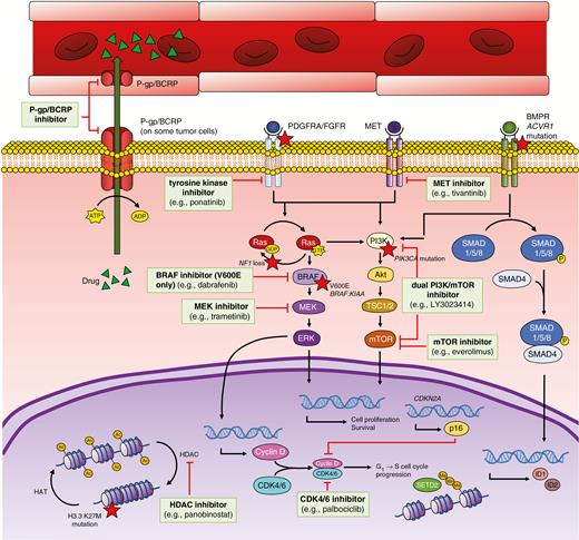 Schematic of key pathways in pediatric glioma, including the frequent efflux of drugs from CNS tissue by efflux proteins such as P-glycoprotein and breast cancer resistance protein