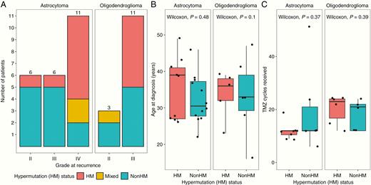 Patient hypermutation status and association with clinical characteristics. (A) Hypermutation (HM) status by grade at recurrence. (B) HM status by patient age at diagnosis. (C) HM status by number of TMZ cycles received prior to recurrence.