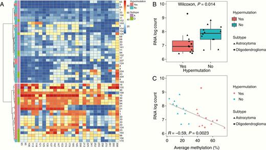 Hypermutation in individual recurrence samples is associated with increased MGMT promoter methylation and reduced expression. (A) Hierarchical clustering by Ward’s minimum variance method of methylation levels at 27 CpG sites for individual recurrence samples labeled by patient ID number, presence or absence of hypermutation (HM), and subtype (A: astrocytoma, O: oligodendroglioma). (B) MGMT expression level by RNA log count for individual recurrence samples by presence of absence of hypermutation. (C) MGMT expression level by RNA log count and average methylation level at the MGMT promoter for each individual recurrence sample.