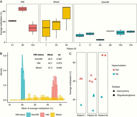Intratumoral analysis of MGMT promoter methylation and hypermutation. (A) Average methylation level at the MGMT promoter methylation for individual recurrence samples from the patient, classified by HM status. (B) Quantification of variation in MGMT promoter methylation levels by bootstrapping. (C) Average methylation level and presence of hypermutation in individual recurrence samples of patients with Mixed HM status.