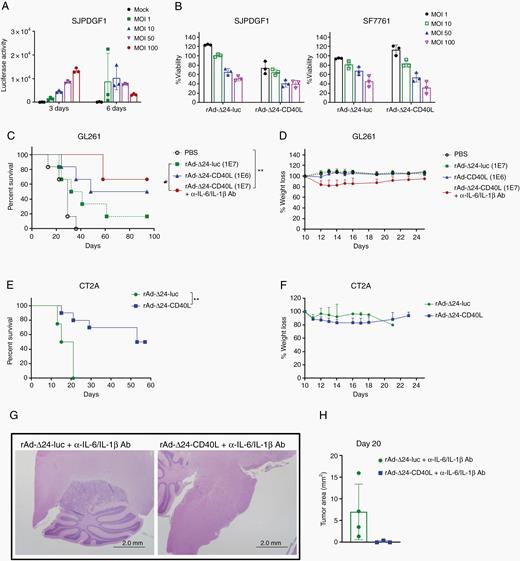 rAd-Δ24-CD40L treats brainstem tumors. (A) SJPDGF1 cells were infected with rAd-Δ24-luc at different MOIs and luciferase activity measured. (B) SJPDGF1 or SF7761 cells were infected with rAd-Δ24-luc or rAd-Δ24-CD40L and cell viability assessed by MTT assay. (C) Survival curves of GL261 tumor-bearing mice injected with PBS, rAd-Δ24-luc or rAd-Δ24-CD40L ± anti-IL-6 and anti-IL-1β neutralizing antibodies. *P ≤ 0.05, **P ≤ 0.01. (D) Percent body weight loss of GL261-bearing mice treated with rAd-Δ24s. (E) Survival curves of CT2A tumor-bearing mice injected with PBS, rAd-Δ24-luc or rAd-Δ24-CD40L. **P ≤ 0.01. (F) Percent body weight loss of CT2A-bearing mice treated with rAd-Δ24s. (G) Representative images of hematoxylin/eosin staining. (H) Tumor area of GL261-bearing mice treated with rAd-Δ24s. Error bars ± SD (n = 3).