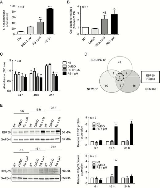 Panobinostat treatment effects in DMG cell lines. (A) BH3 profiling of NEM157 cells at 90 minutes. Mitochondrial depolarization was measured with fluorescent dye JC-1, 16 hours after DMSO (solvent) or PS treatment. Data were normalized to DMSO. Ctrl: DMSO; FCCP (carbonyl cyanide-4-(trifluoromethoxy)phenylhydrazone) : positive control. (B) NEM157 cell death was measured by FACS using annexin-V–fluorescein isothiocyanate /PI staining 72 hours after treatment. Data were normalized to not-treated cells. (C) NEM157 cell growth was measured by absorbance at different timepoints using a sulforhodamine B assay. (D) Venn diagram resuming number of deregulated proteins (P < 0.05; fold change >1.5 or <0.7) after PS treatment on indicated cell lines. (E) Western blot validation of EBP50 and IRSp53 protein expression at different timepoints in NEM157 cells. Graphs were normalized to glyceraldehyde 3-phosphate dehydrogenase. NT: not treated.