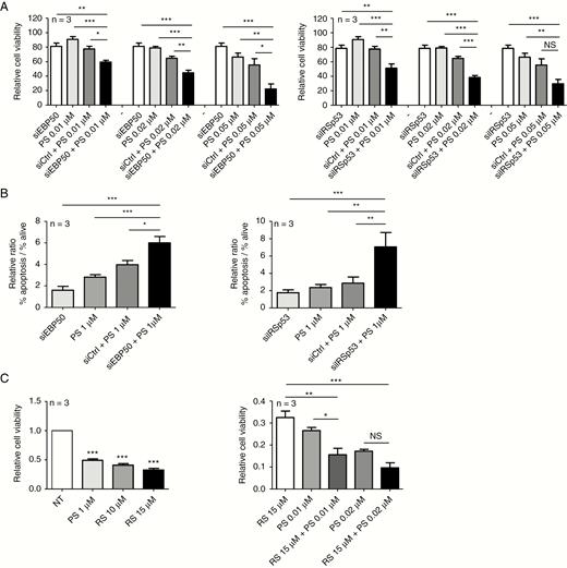 Combinatory effects of PS treatment and EBP50 or IRSp53 inhibition (NEM157-i line). (A) Cells were transfected with indicated siRNAs in combination with different PS doses (0.01, 0.02, or 0.05 µM). Cell viability was measured by absorbance using sulforhodamine B assay. Graph was normalized to siCtrl. (B) Apoptosis was measured by flow cytometry (annexin-V–fluorescein isothiocyanate/PI) and graphs were normalized to nontransfected cells. (C) Cells were treated with EBP50 inhibitor RS5517 (RS) at different doses. Cell viability was measured by absorbance using sulforhodamine B assay. Graphs were normalized to not-treated cells.