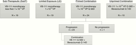 Study disposition diagram. Analyses were performed according to 4 treatment groups: SubT: initial VB-111 doses lower than 1 × 1013 VP. Limited exposure (LE): VB-111 1 × 1013 VP every 56 days until disease progression. Primed combination: VB-111 1 × 1013 VP monotherapy every 56 days until disease progression and after progression VB-111 every 56 days combined with bevacizumab (10 mg/kg i.v.) every 2 weeks. Unprimed combination: upfront combination treatment with VB-111 1 × 1013 VP every 28 days with bevacizumab every 2 weeks.